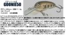 【ご予約受付中】グーニー50　※2月上旬〜3月頃入荷予定