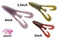 バルビュータ(Feco認定)