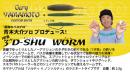 3"D-SHU WORM(ディッシュワーム)