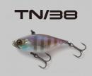 TN38