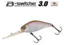 ビー・スイッチャー3.0
