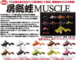 【ご予約受付中】房総蛙マッスル(Feco認定)　※6月中旬頃発売予定