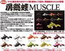 【ご予約受付中】房総蛙マッスル(Feco認定)　※6月中旬頃発売予定