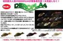 【ご予約受付中】デロフラ4インチ(Feco認定)　※7月入荷予定