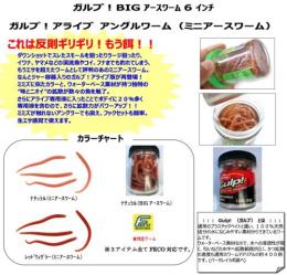 ガルプ!ビッグアースワーム6インチ(Feco認定)