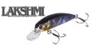 【ご予約受付中】ラクシュミ55SP　※8月上旬〜9月上旬頃入荷予定