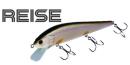 【ご予約受付中】ライゼ110HF　※8月上旬頃入荷予定
