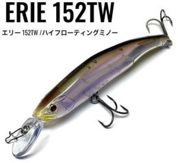 【ご予約受付中】エリー 152TW　※7月末頃入荷予定