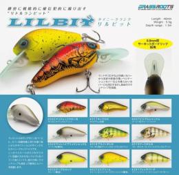 【ご予約受付中】リルビット　※8月発売予定