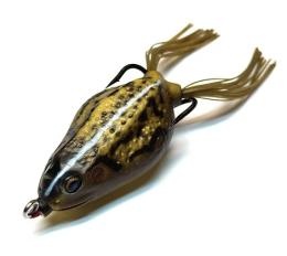 【ご予約受付中】​BQフロッグ　※9月中旬〜10月中旬頃入荷予定