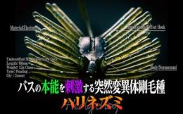 ハリネズミ ECO(Feco認定)【※1色につき1パックまででお願いします】