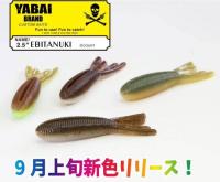 2.5"エビタヌキ(Feco認定)