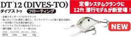 DT12(ダイブストゥ12)