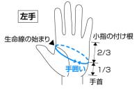 【ご予約受付中】E.G.ウィンターグローブ 手甲(テッコウ)タイプ　※12月上旬発売予定