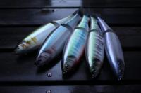 【ご予約受付中】マザーチェイサー300MC(マシンカットモデル)　※12月下旬発売予定